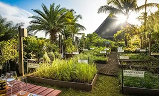 The Oberoi Beach Resort