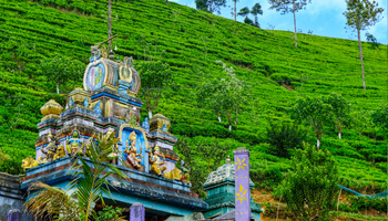 Shri Lanka