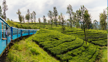 Shri Lanka