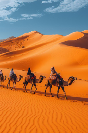 Dubai Desert