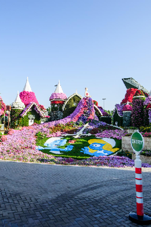 Dubai Miracle Garden