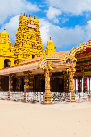 Explore Jaffna's Northern Charm
